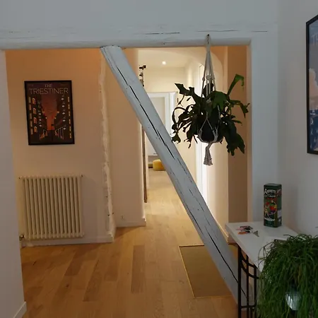 Cavana Cosy With Garden Near The Sea Lägenhet *